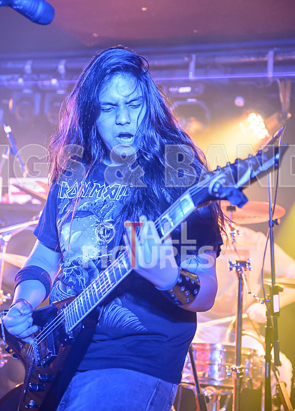 Stone Em All-275 - STONE EM ALL