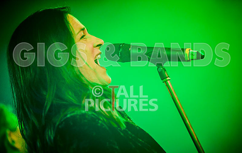 King Rat  the Soul Cats-377 - KING RAT AND THE SOUL CATS