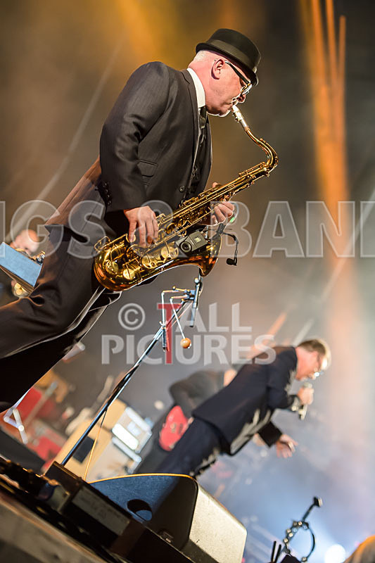 Madness-54 - MADNESS