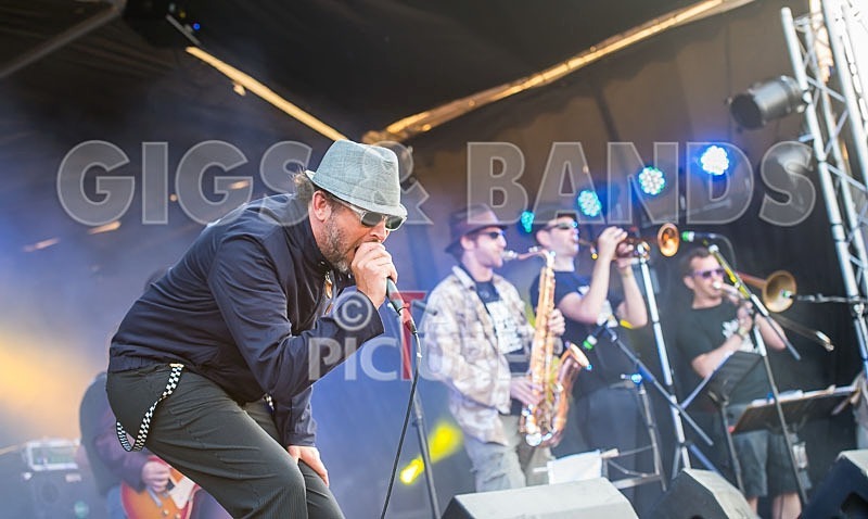 Sons of the Desert-229 - SONS OF THE DESERT