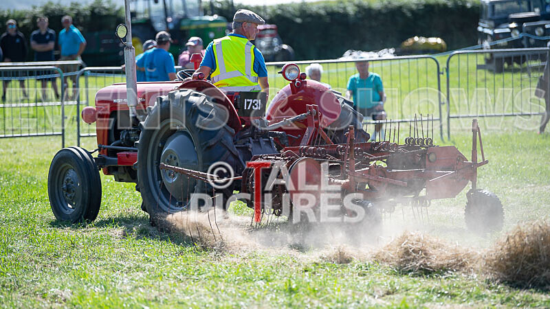 Guernsey Agricultural Show 2021-221 - GUERNSEY AGRICULTURAL SHOW 2021