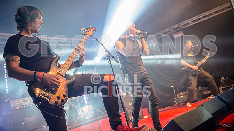 Kill II This-17 - KILL II THIS