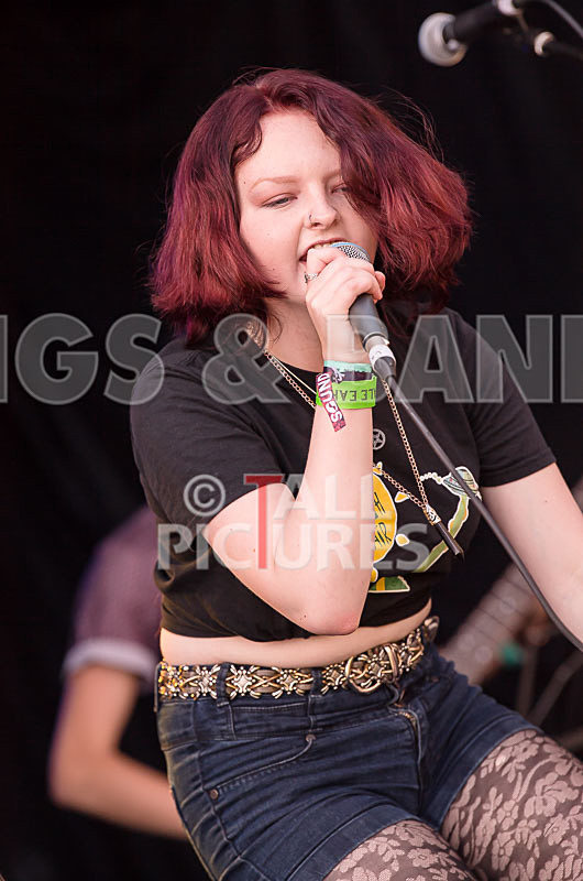 Vale Earth Fair 2017_SCENE-149 - VALE EARTH FAIR 2017_THE SCENE