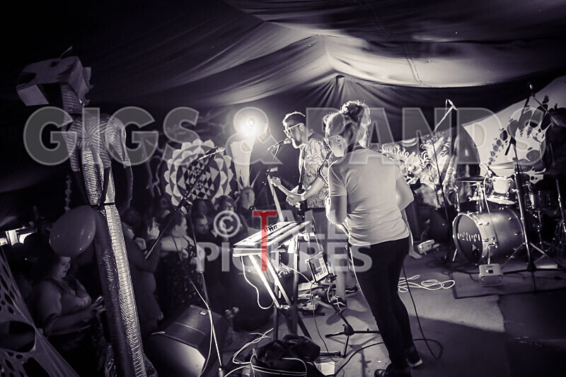 Honest Crooks-260 - HONEST CROOKS