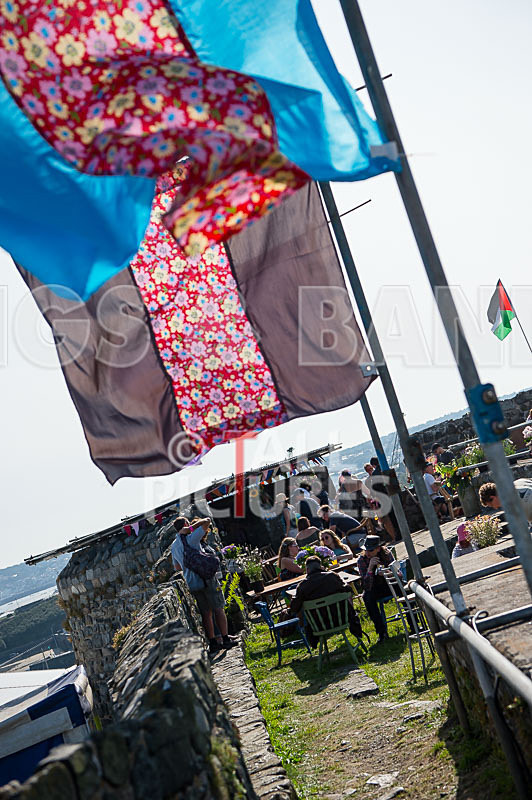 Vale Earth Fair 2017_SCENE-73 - VALE EARTH FAIR 2017_THE SCENE