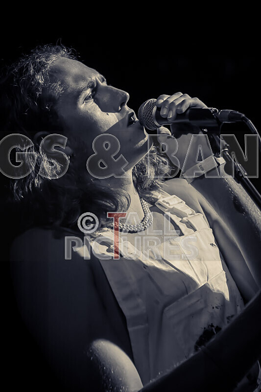 The Pips-115 - THE PIPS