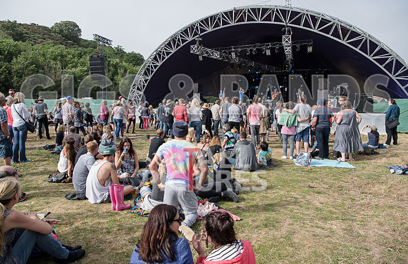 Buffalo Huddleston-427 - BUFFALO HUDDLESTON