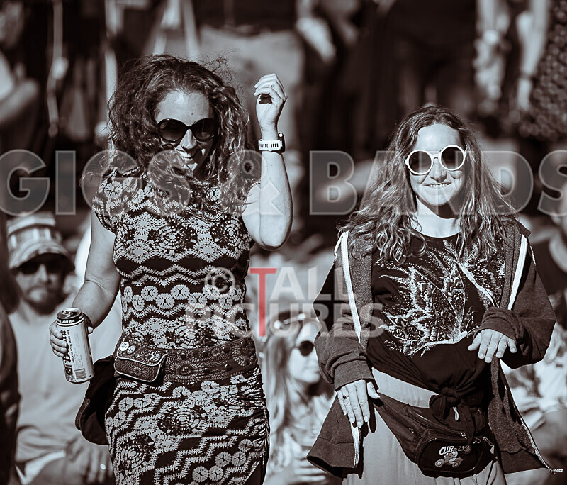 Vale Earth Fair 2020_THE SCENE-113 - VALE EARTH FAIR 2020_THE SCENE