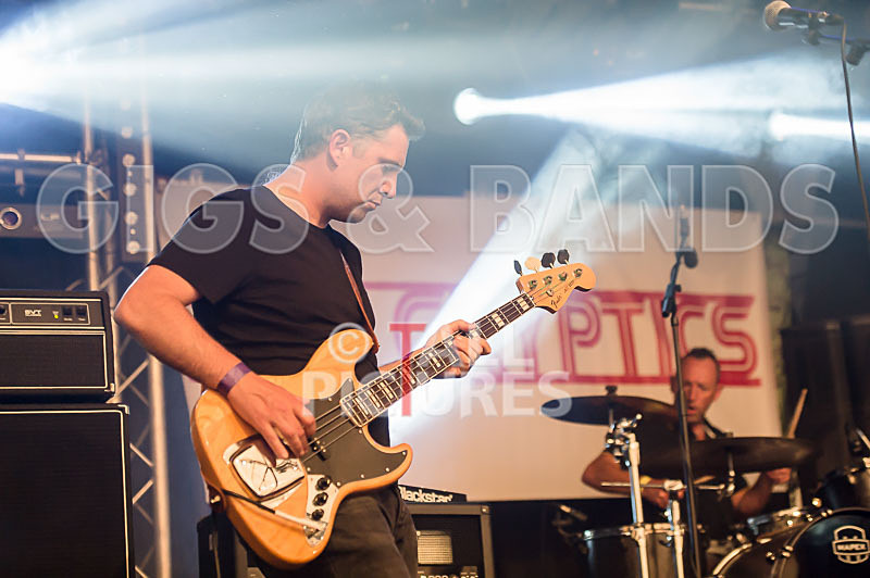 The Cryptics-56 - THE CRYPTICS