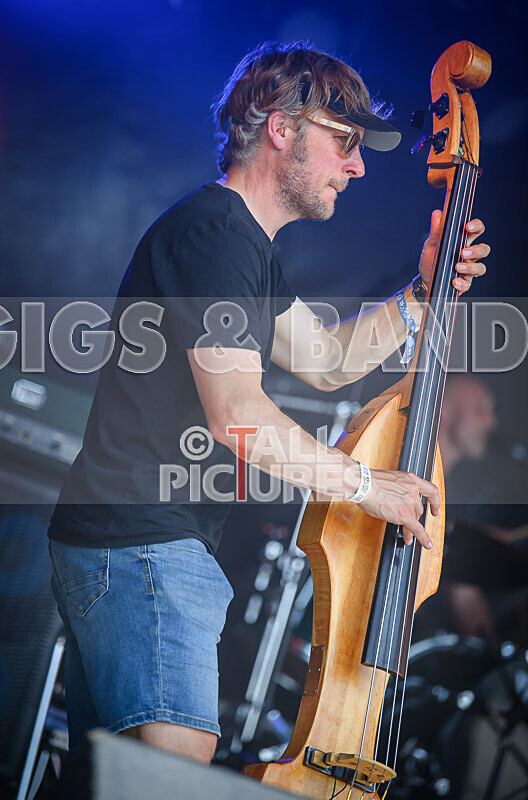 Buffalo Hudleston-715 - BUFFALO HUDLESTON