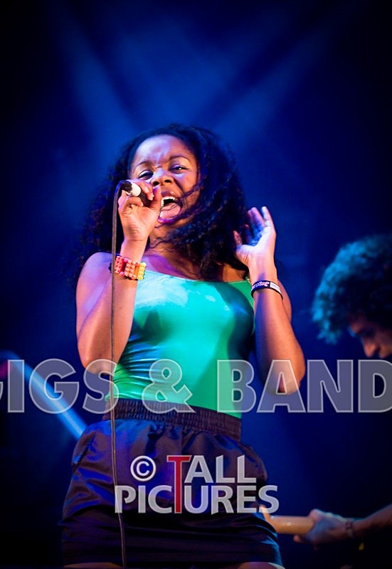 Go Team-19 - THE GO! TEAM