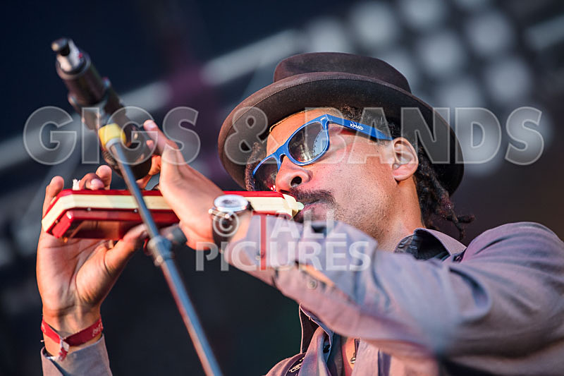 The Recks-721 - THE RECKS