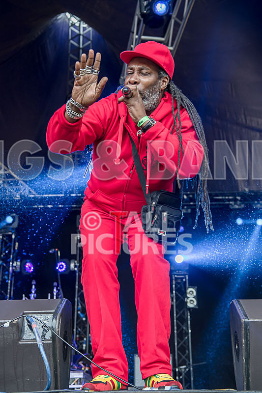 Prince Fatty Soundsystem-8 - PRINCE FATTY SOUNDSYSTEM