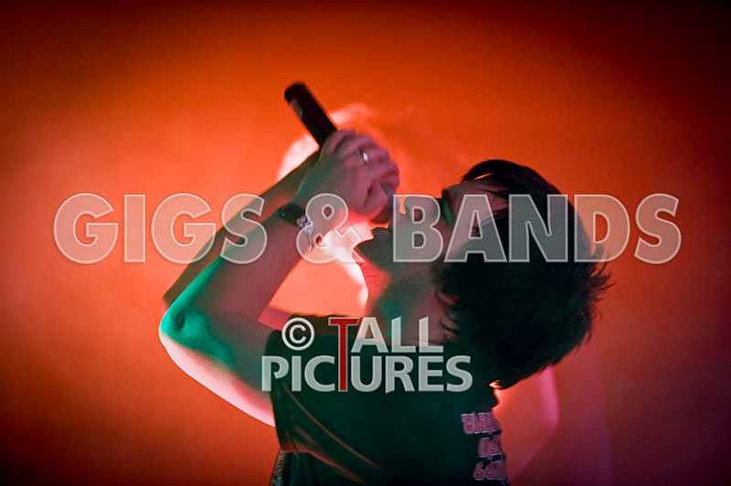 Maiden Guernsey-57 - MAIDEN GUERNSEY at RoA-2