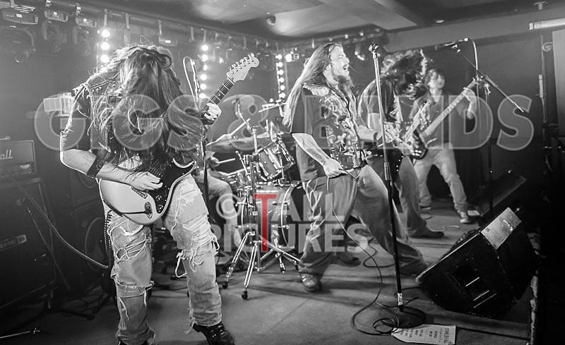 Stone Em All-260 - STONE EM ALL