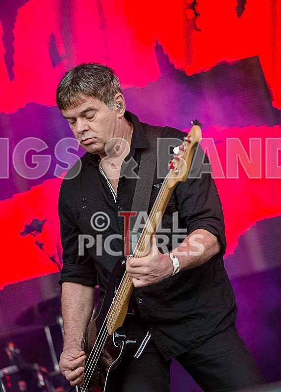 The Stranglers-11 - THE STRANGLERS