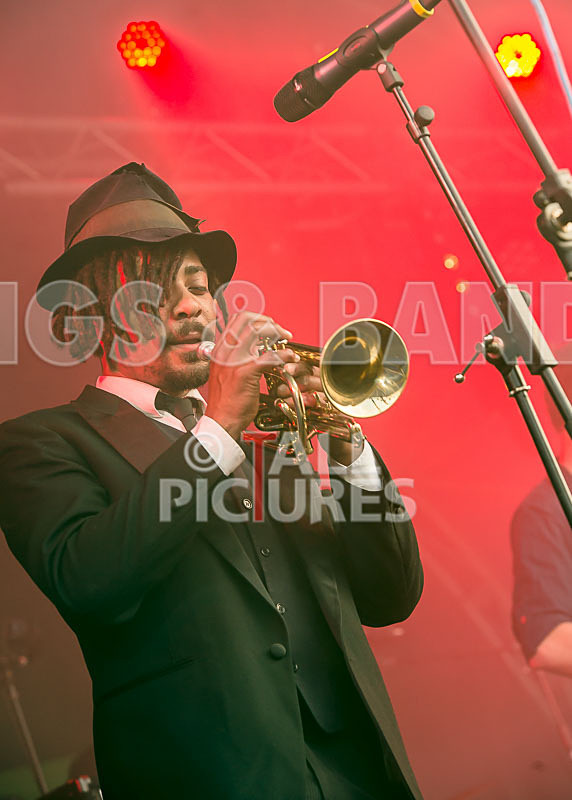 The Recks-390 - THE RECKS