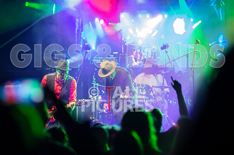 Ruts DC-67 - RUTS DC