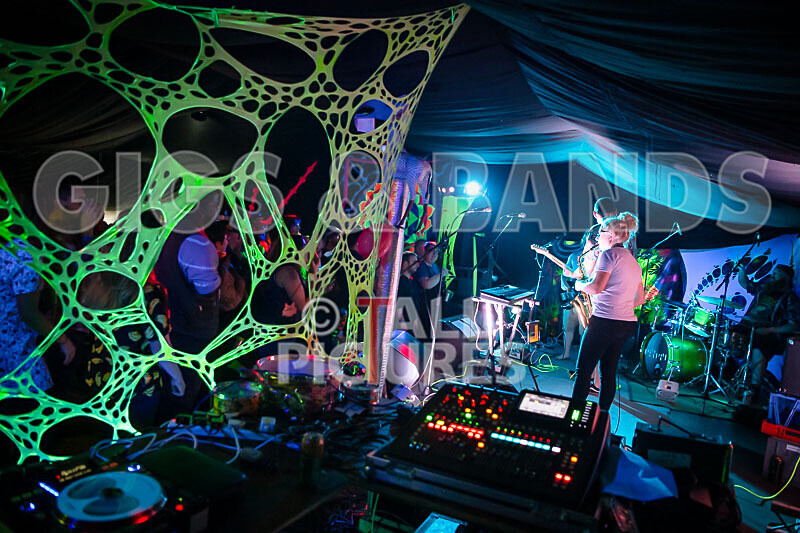 Honest Crooks-245 - HONEST CROOKS