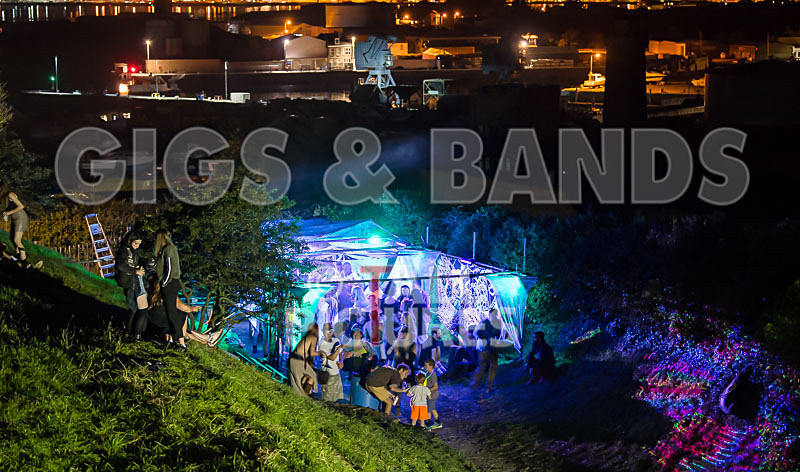 Vale Earth Fair 2017_SCENE-53 - VALE EARTH FAIR 2017_THE SCENE