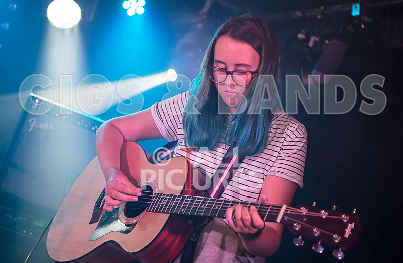 Avacado Geff-8 - AVACADO GEFF