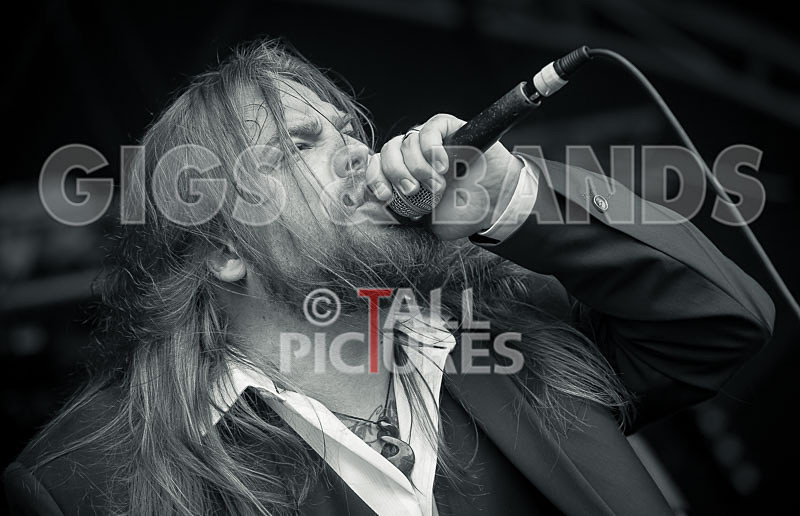 Stone Em All-295 - STONE EM ALL