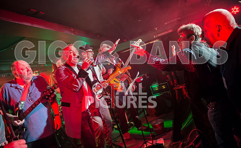 Alfie Bartons 25th Anniversary Gig-140 - ALFIE BARTON'S 25th ANNIVERSARY SPECIAL