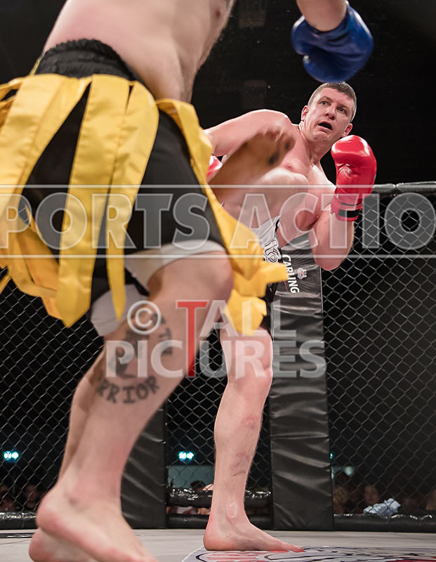 Stanlee Wilson v Dan Maree-36 - BOUT-12 Stanlee Wilson v Dan Maree