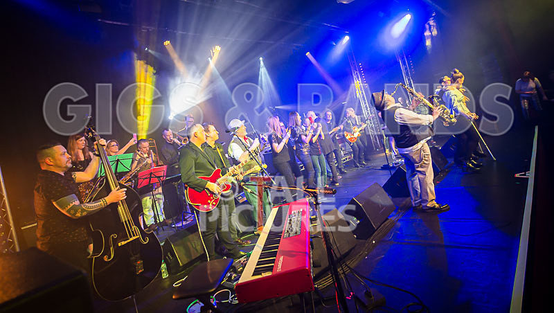 Harry Dean Junior and the New Breed-49 - HARRY DEAN JUNIOR AND THE NEW BREED