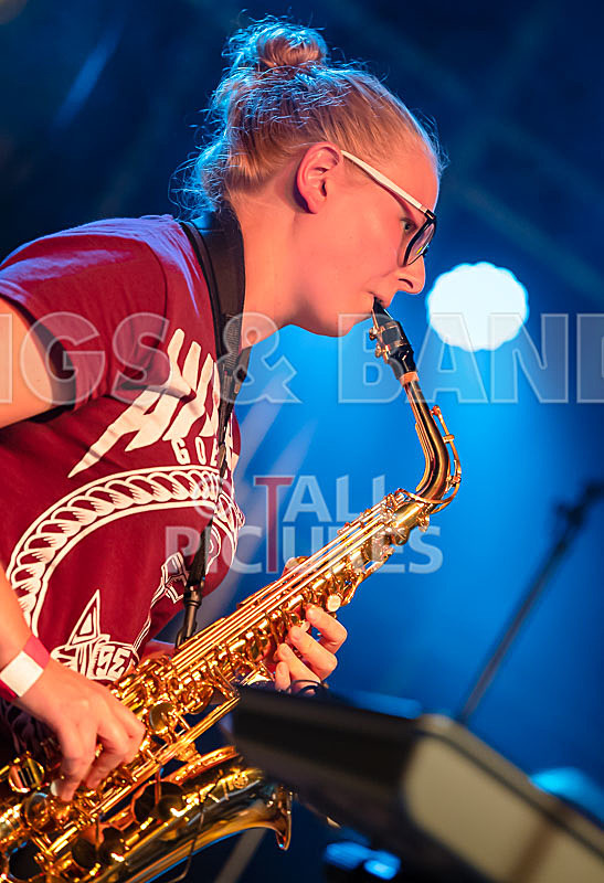 Honest Crooks-210 - HONEST CROOKS