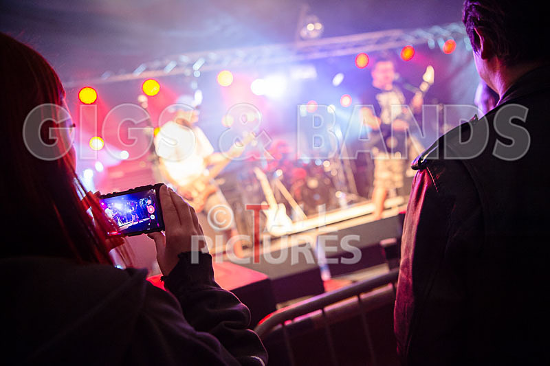 Demise of Sanity-157 - DEMISE OF SANITY