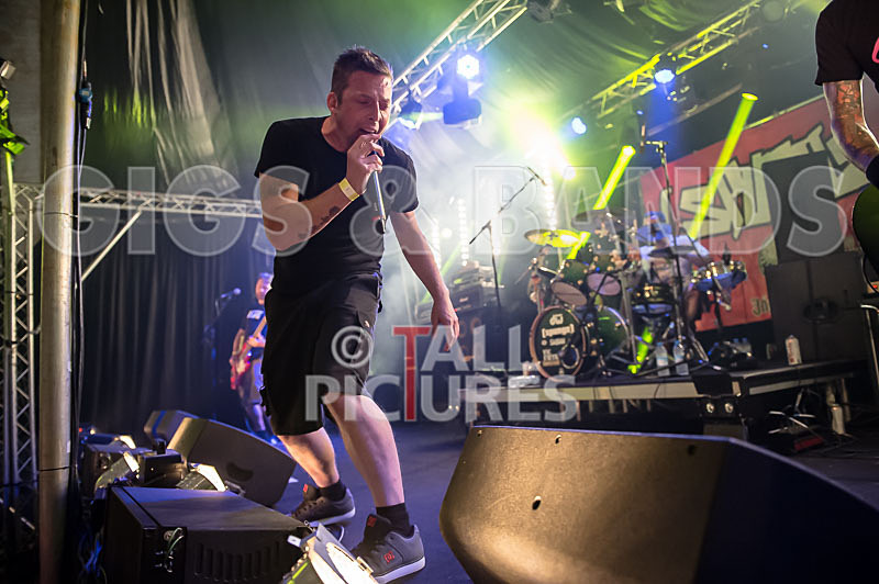 Spunge-83 - [spunge]