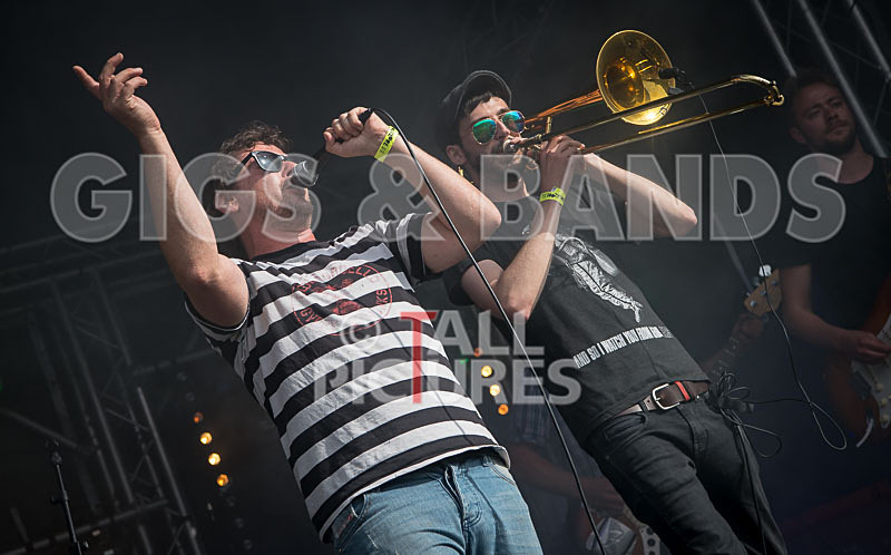 Pirate Party Brigade-36 - PIRATE PARTY PARADE