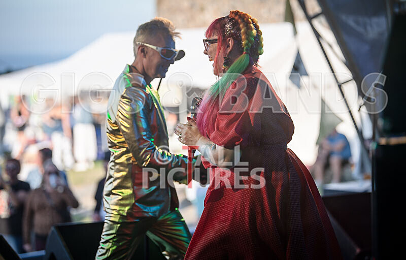 The Sacred Hearts-100 - THE SACRED HEARTS