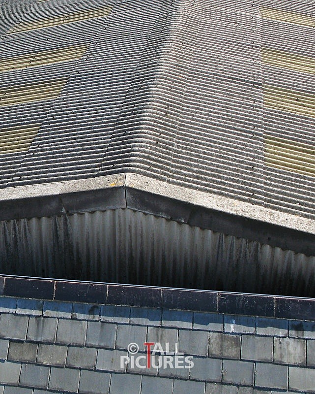 Roof Surveys-1 - SURVEYS