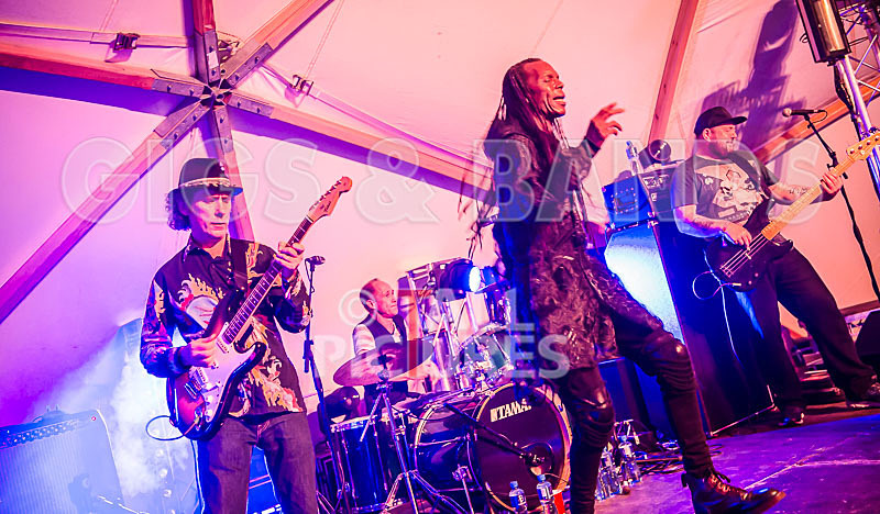 The Beat-63 - THE BEAT