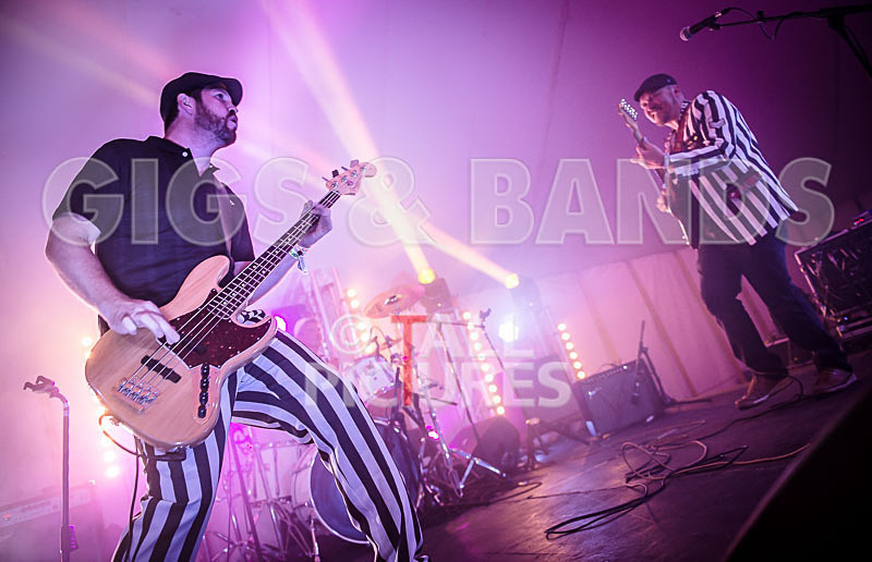 The Smooth Hounds-12 - THE SMOOTH HOUNDS