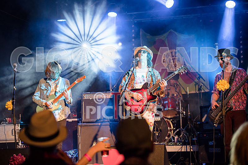 Surfin Birds-37 - SURFIN' BIRDS