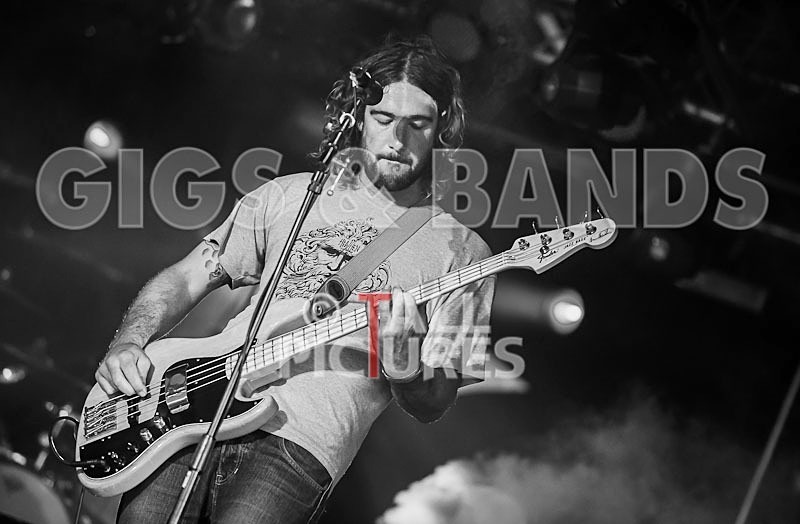 The Morves-15 - THE MORVES