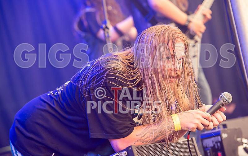 Stone Em All-221 - STONE EM ALL