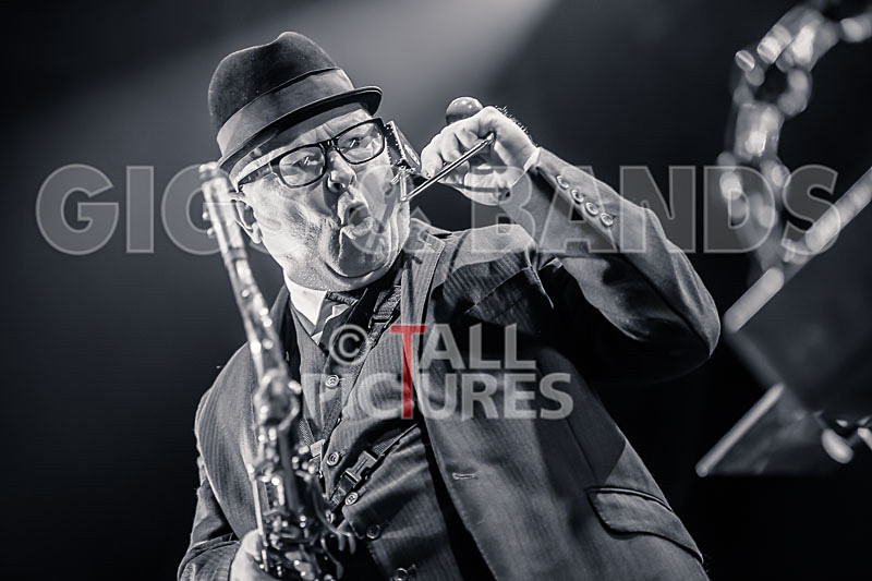 Madness-44 - MADNESS