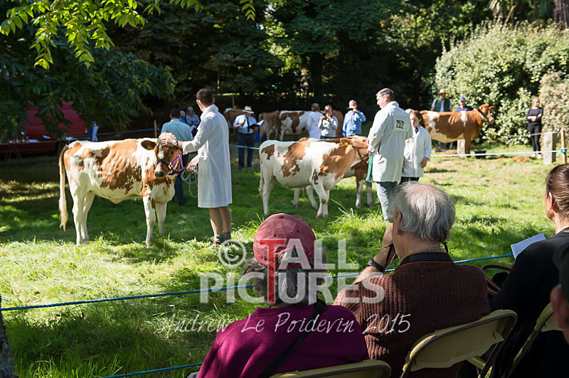 North Show_2014-11 - NORTH SHOW 2014