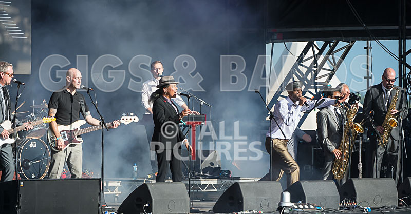 The Selecter-55 - THE SELECTER