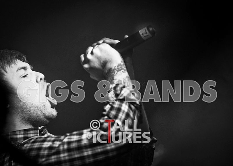 Brutus Stonefist-25 - BRUTUS STONEFIST at RoA-2