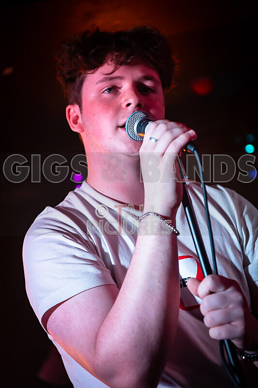 Black Dog-33 - BLACK DOG