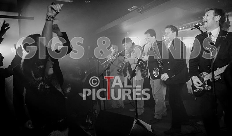 The Pulse-119 - THE PULSE