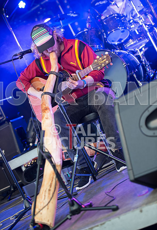 Buffalo Huddleston-307 - BUFFALO HUDDLESTON