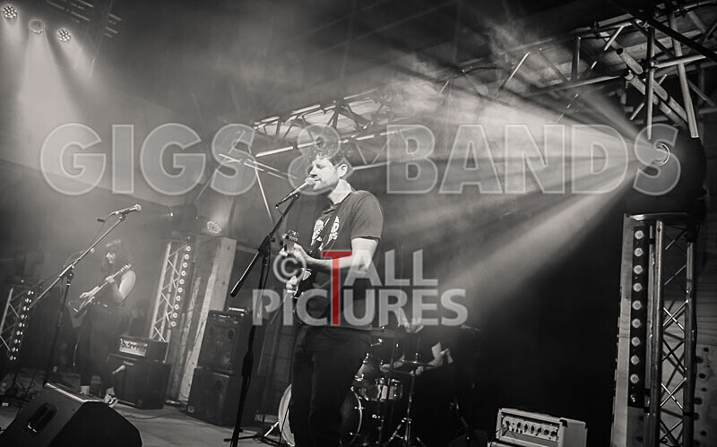 The Tarantulips-28 - THE TARANTULIPS