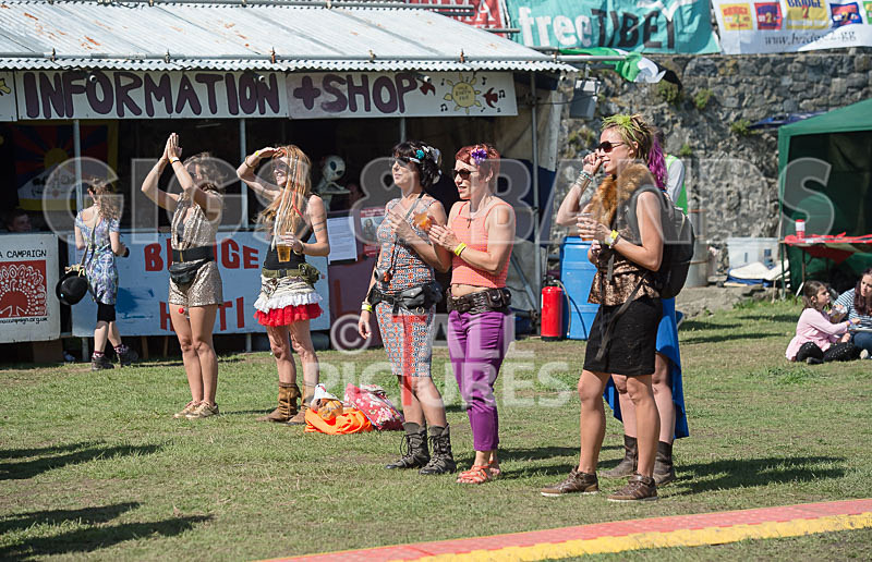 Vale Earth Fair 2015_Atmosphere-10 - VALE EARTH FAIR 2015_THE ATMOSPHERE