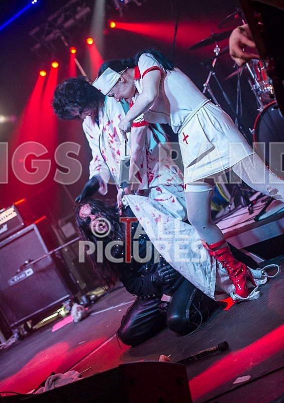 Gallus Cooper-34 - GALLUS COOPER